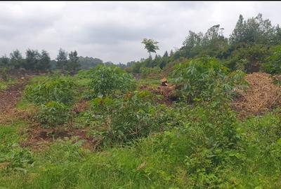 0.5 ac Land at Loresho - 3
