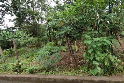 0.5 ac Land at Nandi Road