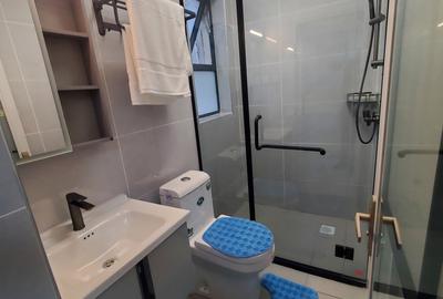 Studio Apartment with En Suite in Syokimau - 4