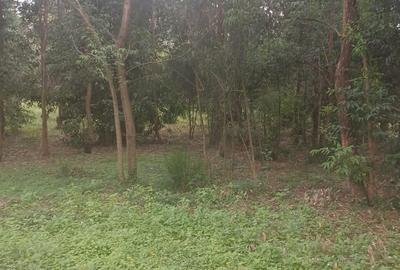 5 ac Land in Karen