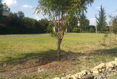 Residential Land at Community Road