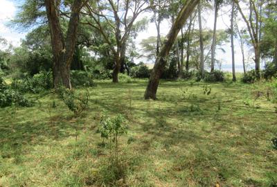 25 ac Land at Moi S Lake Rd - 2