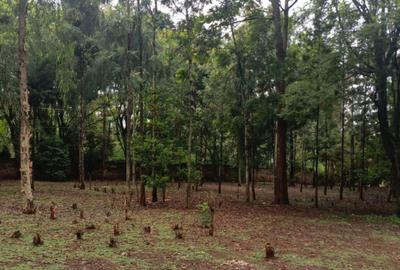 0.5 ac Residential Land at Three Dee Lane