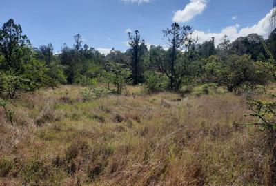 6 ac Land in Nanyuki