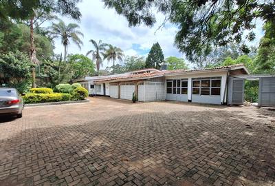 Commercial Property with Fibre Internet in Lavington