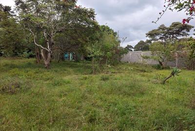 1 ac Land at Windy Ridge