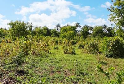 Land in Kikambala - 4