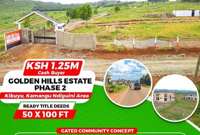 500 m² Residential Land at Ndiguini