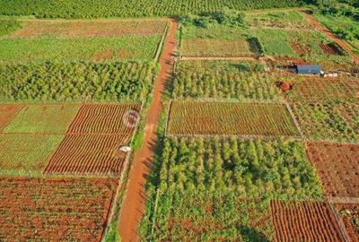 0.125 ac Land at Tatu City