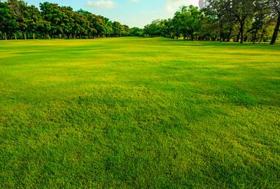 Land in Tigoni