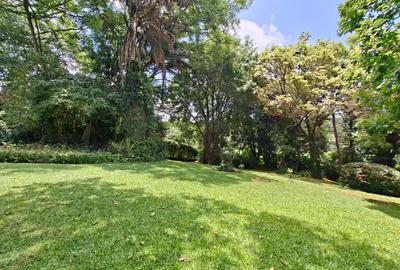 5 Bed House with En Suite in Gigiri - 4