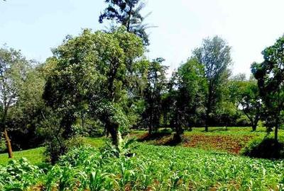 Commercial Land at Church Road