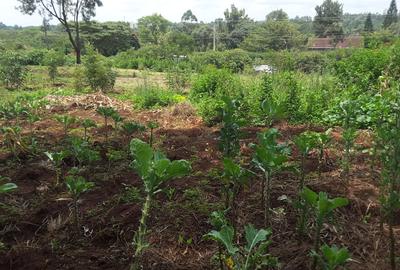 1 ac Land in Karen - 2