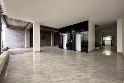 60,000 ft² Commercial Property with Backup Generator in Syokimau