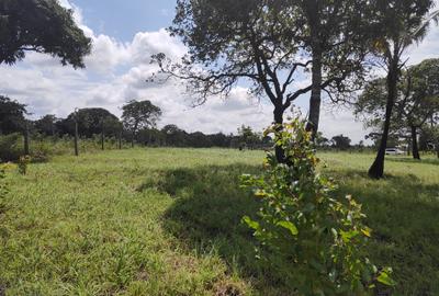 1.0 ac Land at Mabokoni - 4