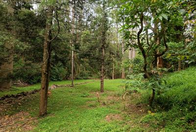 4 Bed Townhouse with Staff Quarters in Muthaiga - 4