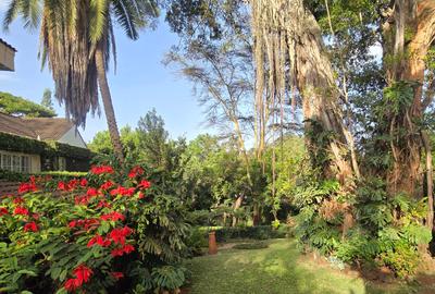 3 Bed Townhouse with En Suite in Spring Valley - 4
