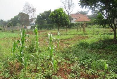 Land at Off Pan African Insurance Avenue