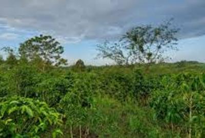 60 ac Land in Eldoret