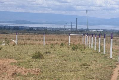 Land at Lake Naivasha