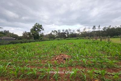 0.5 ac Land in Ridgeways - 2