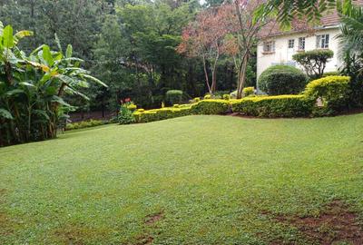 Residential Land in Lavington