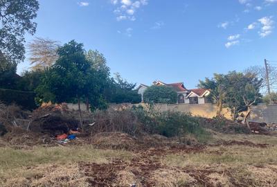 0.55 ac Land at Elias Zagoretis