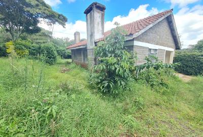 Warehouse with Fibre Internet at Hardy
