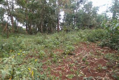 Land at Muthiga