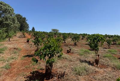 Land in Tatu City - 3