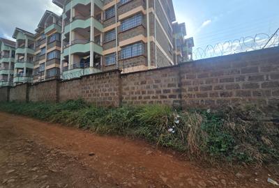 0.75 ft² Commercial Land at Thindigua - 4