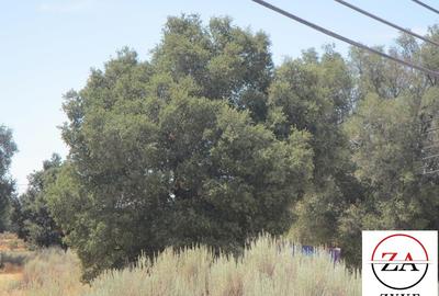 5 ac Land in Kitisuru - 2