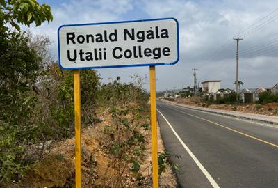 1,000 ft² Land at Vipingo Utalii - 3