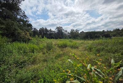 Land in Karen - 3
