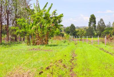 0.125 ac Land at Sagana - 2