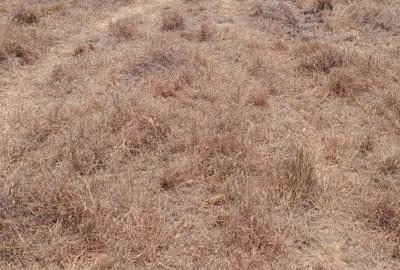 5 ac Residential Land in Ongata Rongai - 3