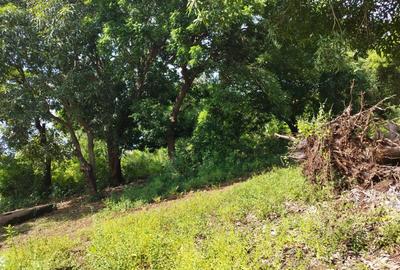 0.125 ac Residential Land at Diani Beach Road - 4