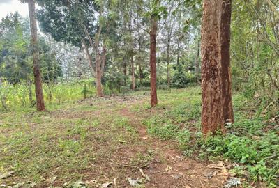 0.125 ac Land at Ruui Kirigiti