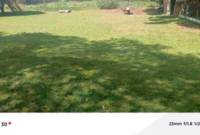 Land in Lavington - 2