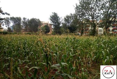 0.5 ac Commercial Land at 200M From Kiambu Road