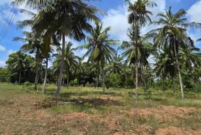 6 ac Land at Bomani