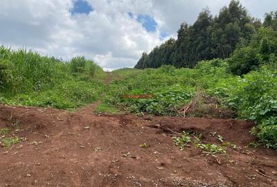 0.05 ha Residential Land in Kikuyu Town