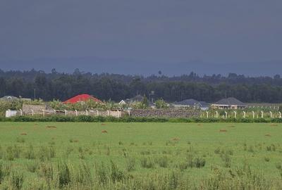 0.23 ac Land at Ngata - 2