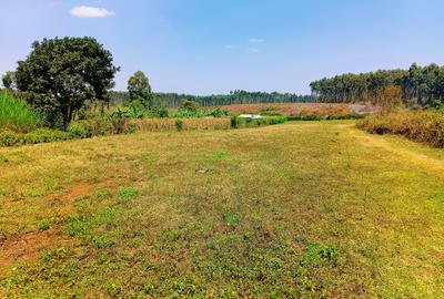 1,000 m² Residential Land at Thogoto - 4