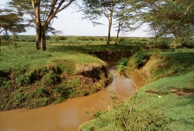 Land at Nanyuki-Rumuruti Rd