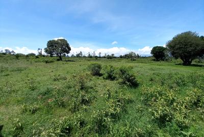 5 ac Land at Burguret