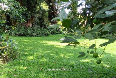 1.1 ac Land in Runda - 2