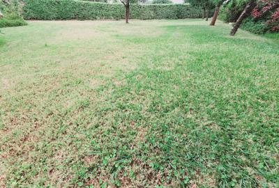 4 Bed House with En Suite at Karen - 4