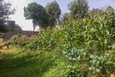 0.115 ac Residential Land at Gikambura