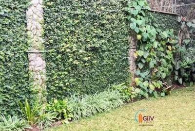 4 Bed Townhouse with Staff Quarters in Spring Valley - 3